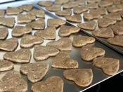 Fresh-Baked Apple Cinnamon Hearts for Dogs — Spike's Treats