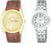 15 Year Citizen Watch
