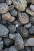 4"-8" Noiyo River Cobble