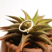 14K White Gold Flat Band