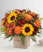 BIT OF FALL ALL BOXED UP