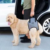 Adventure Support Lift Harness