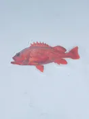 Abachar Vermilion Sticker