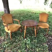 Gold French Provincial Chairs — The Attic