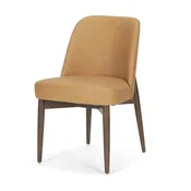 Abbie Dining Side Chair (Set of 2) - Tan Leather