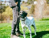 Trimester Membership — Whitman County Humane Society