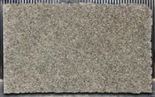 Butterfly Beige