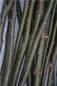 Alder Sticks/Twigs Furniture Crafts 1/4" to 1/2" x 36"