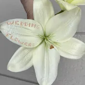 Wedding Retainer EK — Bloom Brats Botanical