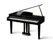 Kawai DG30