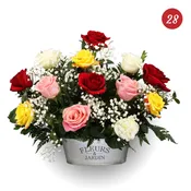 12 Mixed Roses