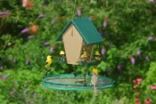 16″ Seed Hoop