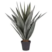 45" UV Protected Aloe Plant