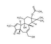 12-Deoxyphorbol 13-acetate