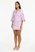 Acler Leesbrook V Neck Mini Dress
