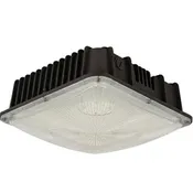 LED Garage Canopy Light