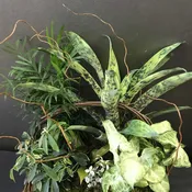 Mixed Plant Basket