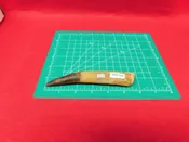 1 Spinosaurus Tooth Dinosaur fossil