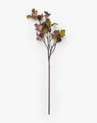 37" Fig Fruit Branch