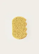 Compostable Kitchen Sponges