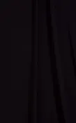 1537 Black Thin Skinz fabric