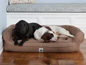 EZ-Wash Premium Headrest Memory Foam Dog Bed