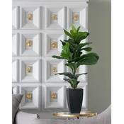 Potted Fiddle-Leaf Fig Plant