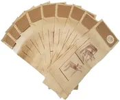 10 Pack- Lindhaus Healthcare Pro PH4 Vacuum Bags, also fits Lindhaus RX HEPA, CH Pro, Dynam 300, 380, and 450.