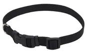 5/8" Inspire Leash