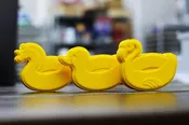 Animal Pool Float Bath Bomb Mold