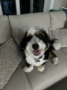 Contest - Charlie-Landers