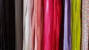 33" Elastic Shoe Laces
