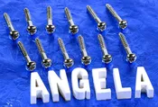 12 Generic #6X1.090" Vintage Strat Style Vibrato Bridge Mounting Screws Nickel, #GSBS
