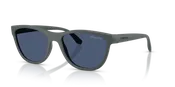 AN4379