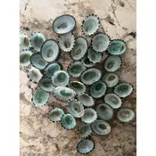 Beach Decor Blue Green Limpet Shells — Candy's Cottage