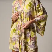 AISE The Kimono