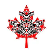 Coastal maple leaf sticker