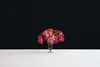 Fantin Arrangement — Rafael Diamond Design