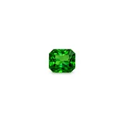 #12412 Radiant Cut Tsavorite Garnet 1.48ct — Vora Gems
