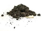 Amended Topsoil