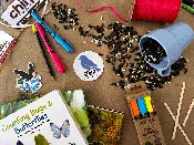 Book &amp;amp; Craft: Build a Bird Feeder | October 15th, 2022