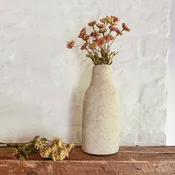 Ancient Stone Vase