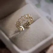 14K Gold Plated Royalty Rings