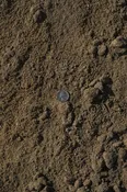 Fill Dirt