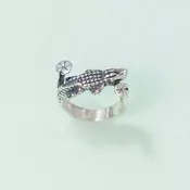 Alligator Swamp Tour Ring