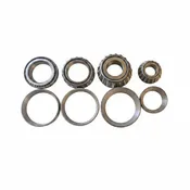1960 W100 Rear Axle Differential Bearing Set  - FNRABS11-3