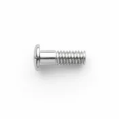 2.8 x 1.6 x 5.6 Large Interchangeable "Magic" Screws (Eyewire/Temple) #1520