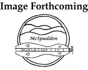 3FHCSy-Bass - 3 String, Flathead, Hourglass Bass with Cherry back & sides and Sycamore top