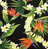 Hilo Pocket