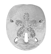 Sanddollar Napkin Rings Set of 4